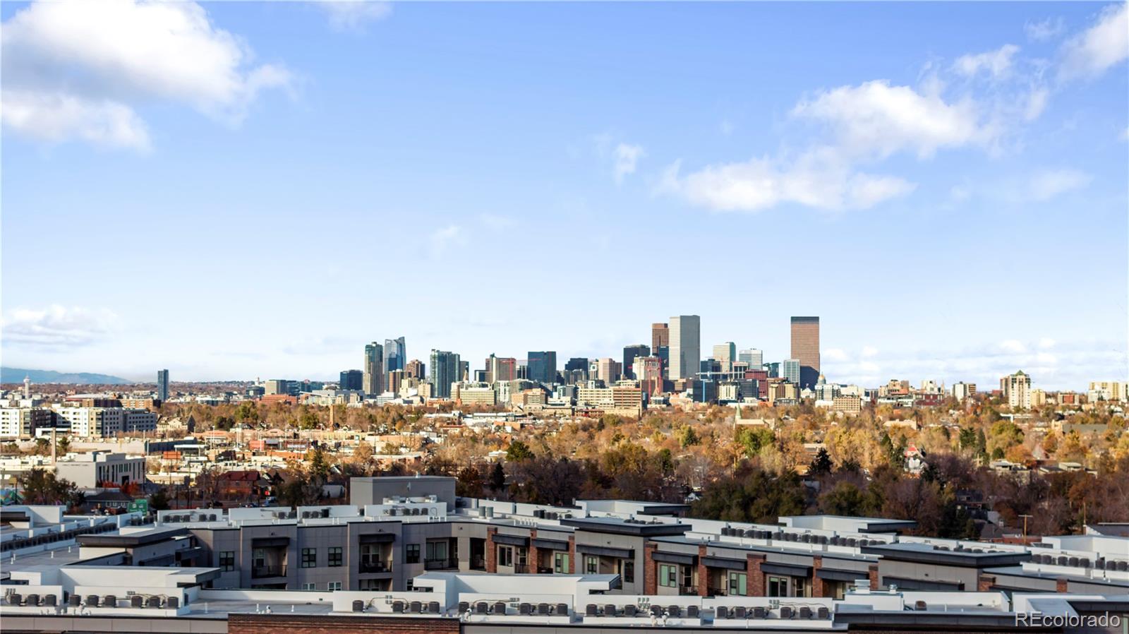 1151 Grant Street, Denver, CO 80210, 3 Bedrooms Bedrooms, ,3 BathroomsBathrooms,Residential,For Sale,Grant,REC9107690