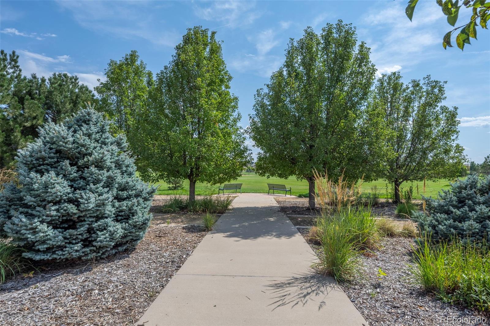 5177 Andes Street, Denver, CO 80249, 3 Bedrooms Bedrooms, ,2 BathroomsBathrooms,Residential,For Sale,Andes,REC5043049