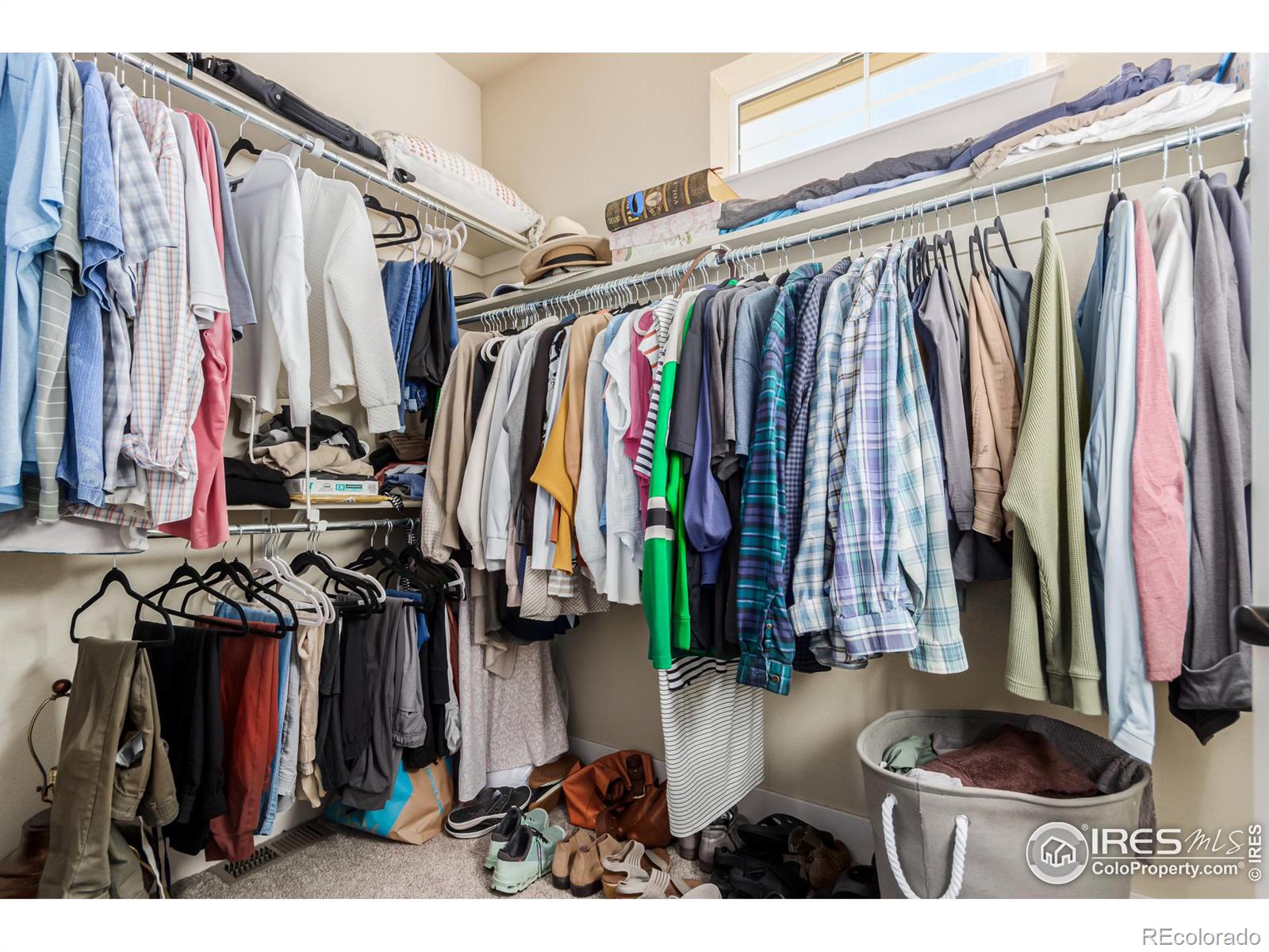 2239 Trestle Road, Fort Collins, CO 80525, 3 Bedrooms Bedrooms, ,3 BathroomsBathrooms,Residential,For Sale,Trestle,RECIR1023029