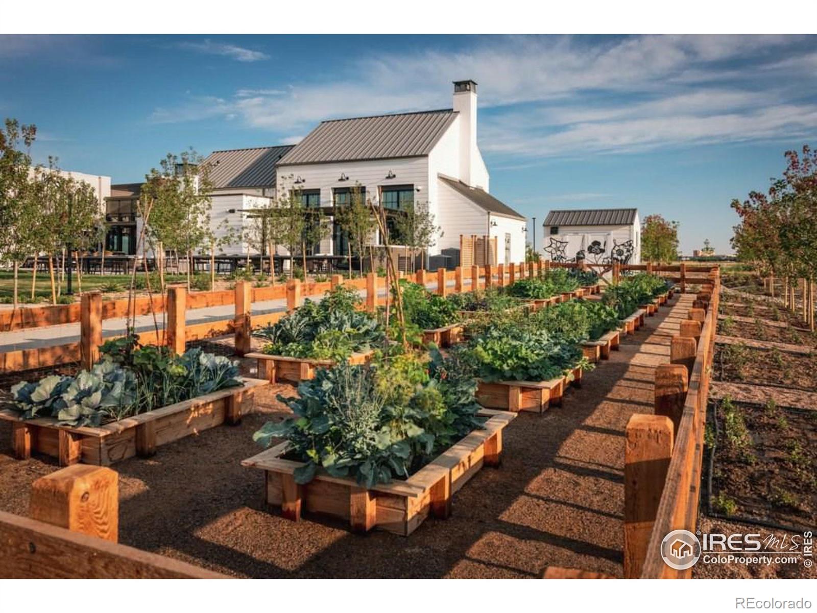 6369 Deerfoot Drive, Loveland, CO 80538, 3 Bedrooms Bedrooms, ,3 BathroomsBathrooms,Residential,For Sale,Deerfoot,RECIR1022979