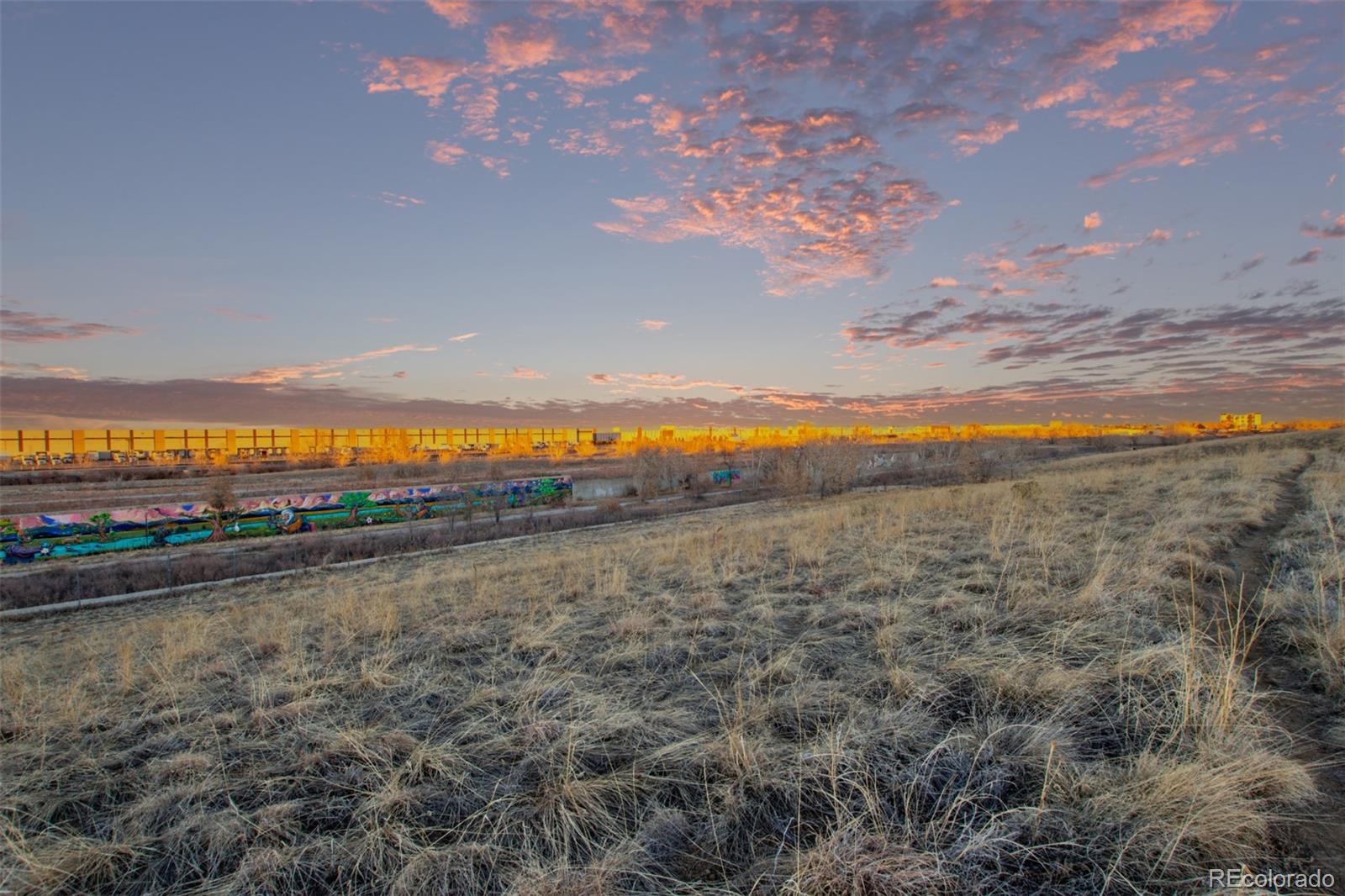 9084 E 37th Avenue, Denver, CO 80238, 5 Bedrooms Bedrooms, ,4 BathroomsBathrooms,Residential,For Sale,37th,REC4585365