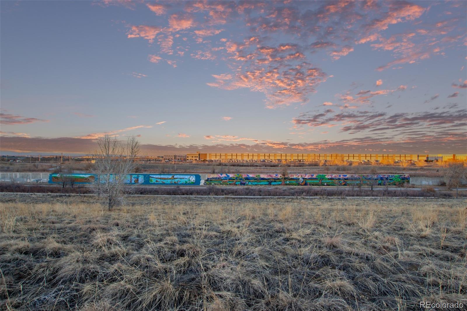 9084 E 37th Avenue, Denver, CO 80238, 5 Bedrooms Bedrooms, ,4 BathroomsBathrooms,Residential,For Sale,37th,REC4585365