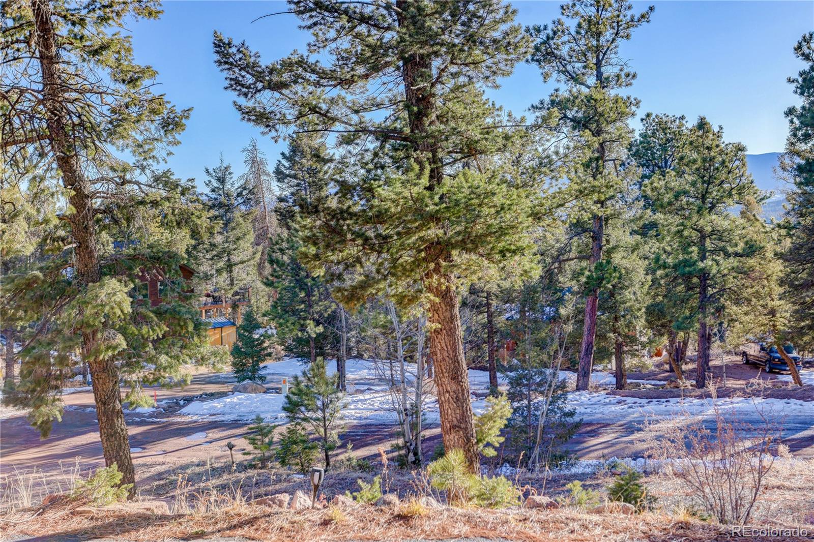 31037 Witteman Road, Conifer, CO 80433, 3 Bedrooms Bedrooms, ,3 BathroomsBathrooms,Residential,For Sale,Witteman,REC4808358