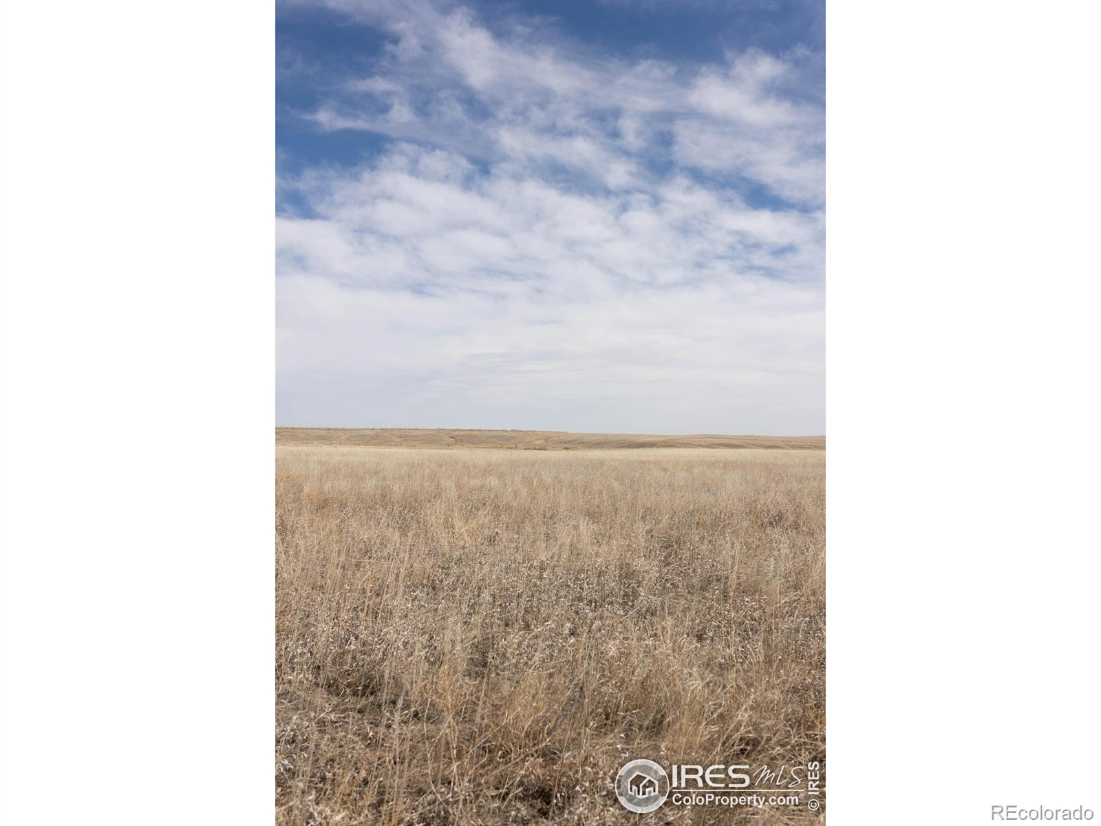 0 CR 102, Nunn, CO 80648, ,Land,For Sale,CR 102,RECIR1022957
