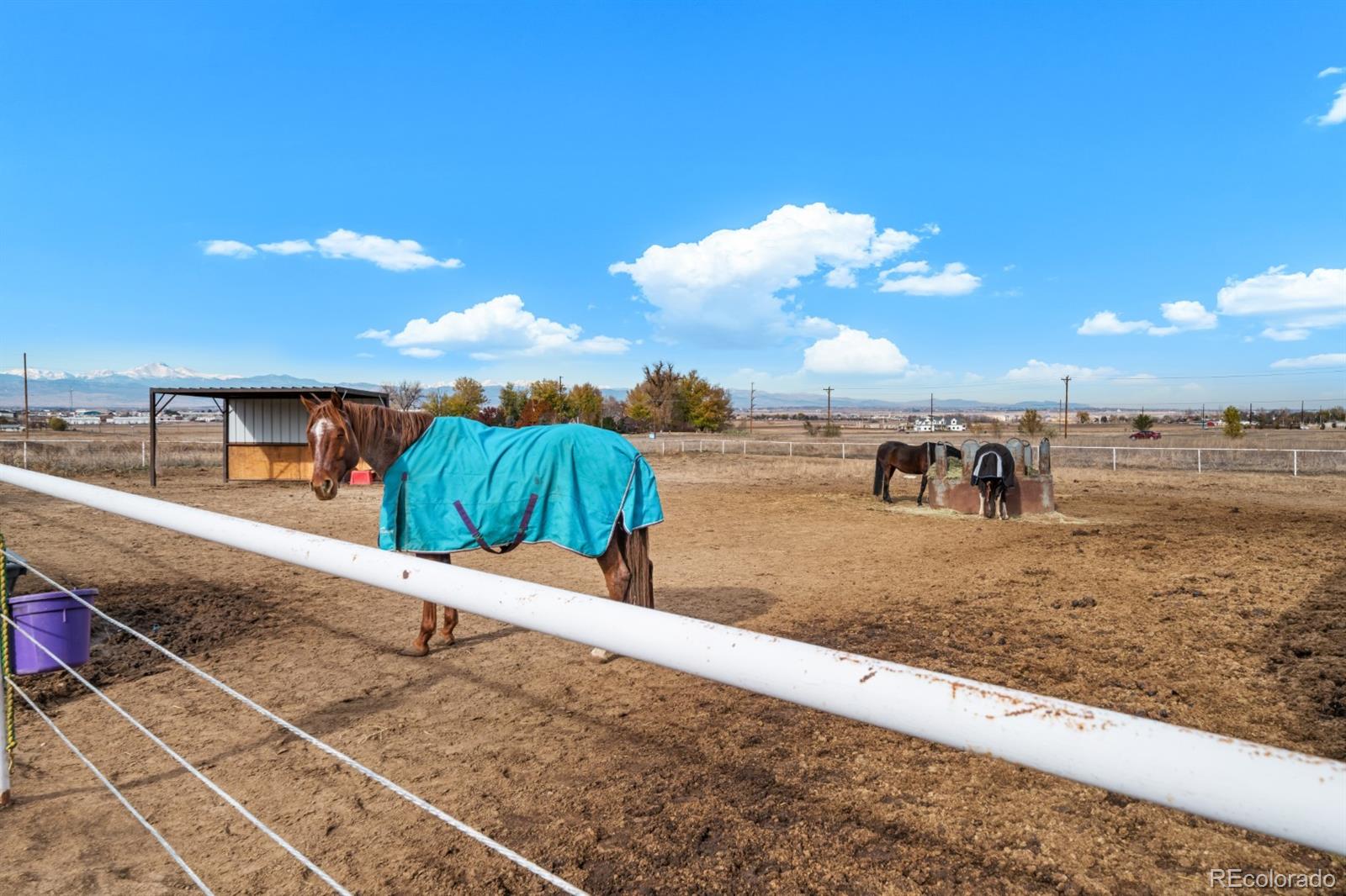 5220 Bella Rosa Parkway, Firestone, CO 80504, ,Land,For Sale,Bella Rosa,REC6614166