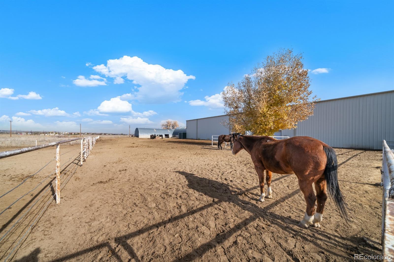 5220 Bella Rosa Parkway, Firestone, CO 80504, ,Land,For Sale,Bella Rosa,REC6614166