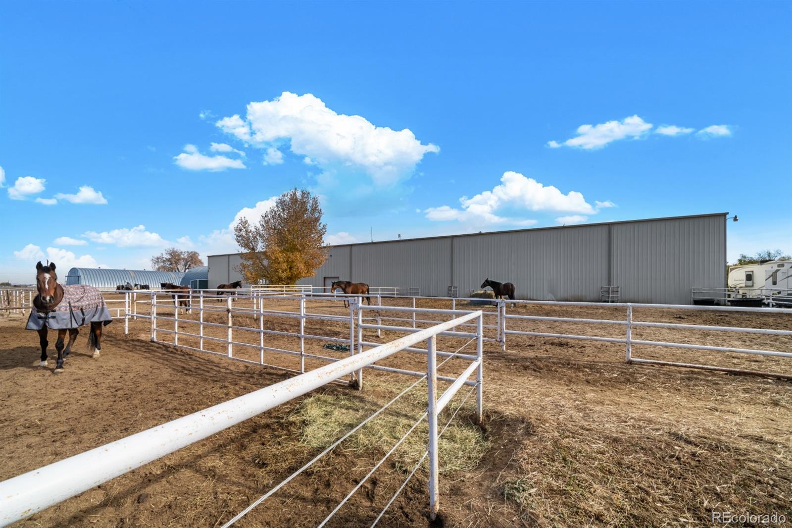 5220 Bella Rosa Parkway, Firestone, CO 80504, ,Commercial,For Sale,Bella Rosa,REC4263300