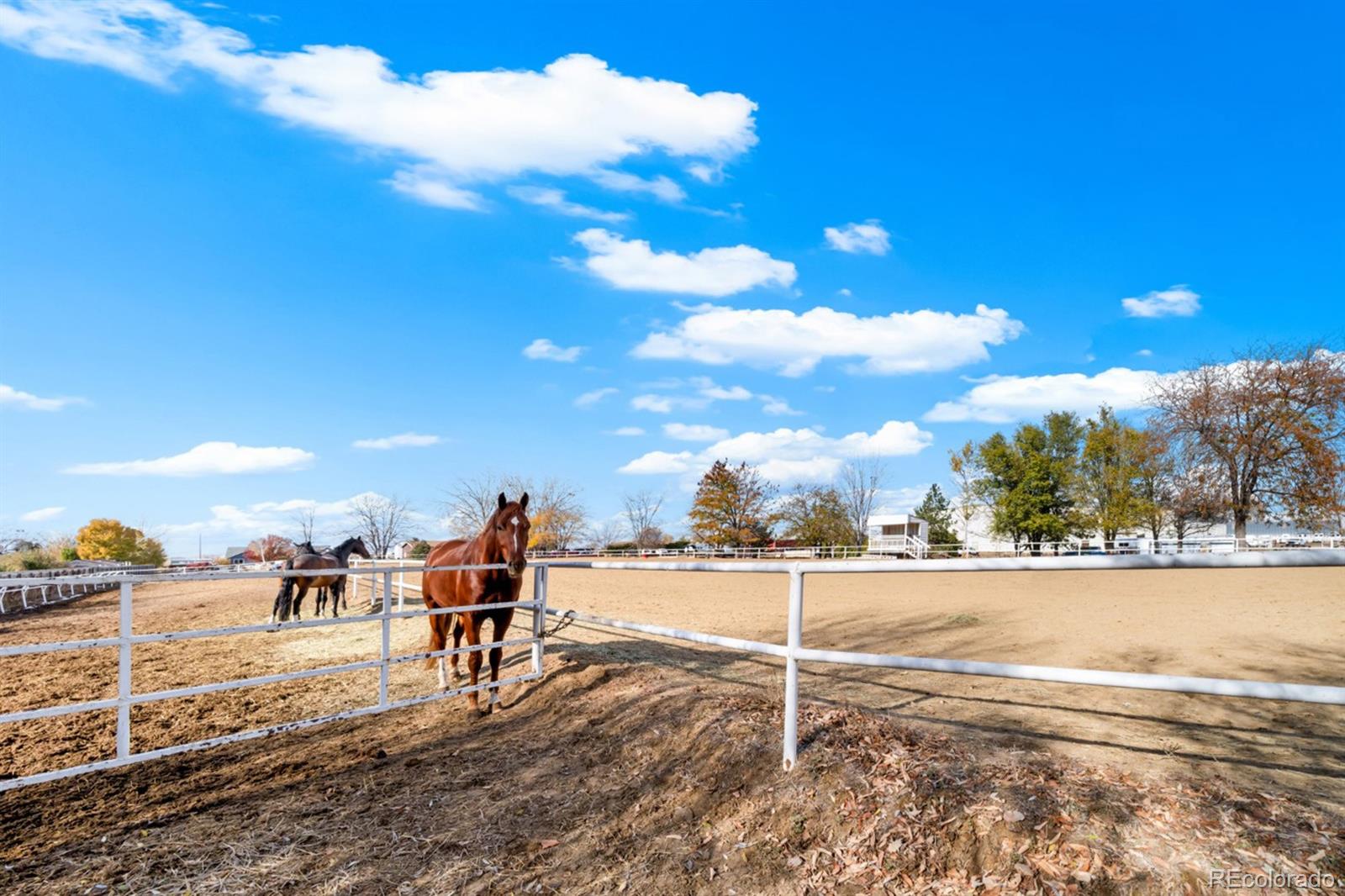 5220 Bella Rosa Parkway, Firestone, CO 80504, ,Commercial,For Sale,Bella Rosa,REC4263300