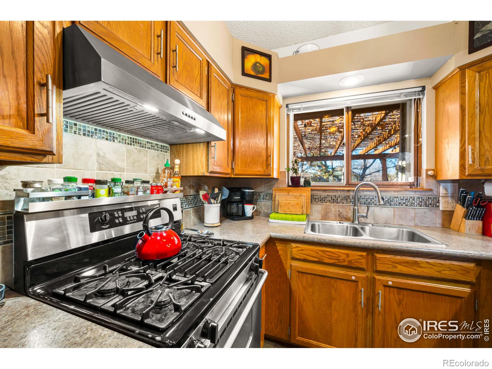803 Buchanan Lane, Longmont, CO 80504, 3 Bedrooms Bedrooms, ,3 BathroomsBathrooms,Residential,For Sale,Buchanan,RECIR1022984