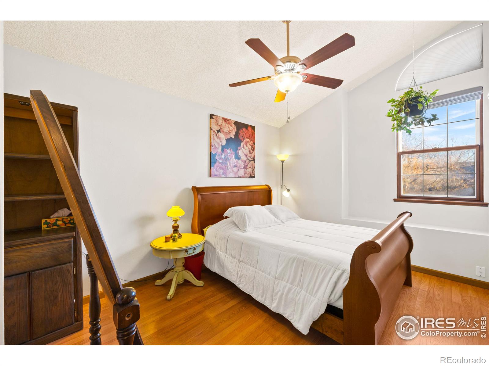 803 Buchanan Lane, Longmont, CO 80504, 3 Bedrooms Bedrooms, ,3 BathroomsBathrooms,Residential,For Sale,Buchanan,RECIR1022984