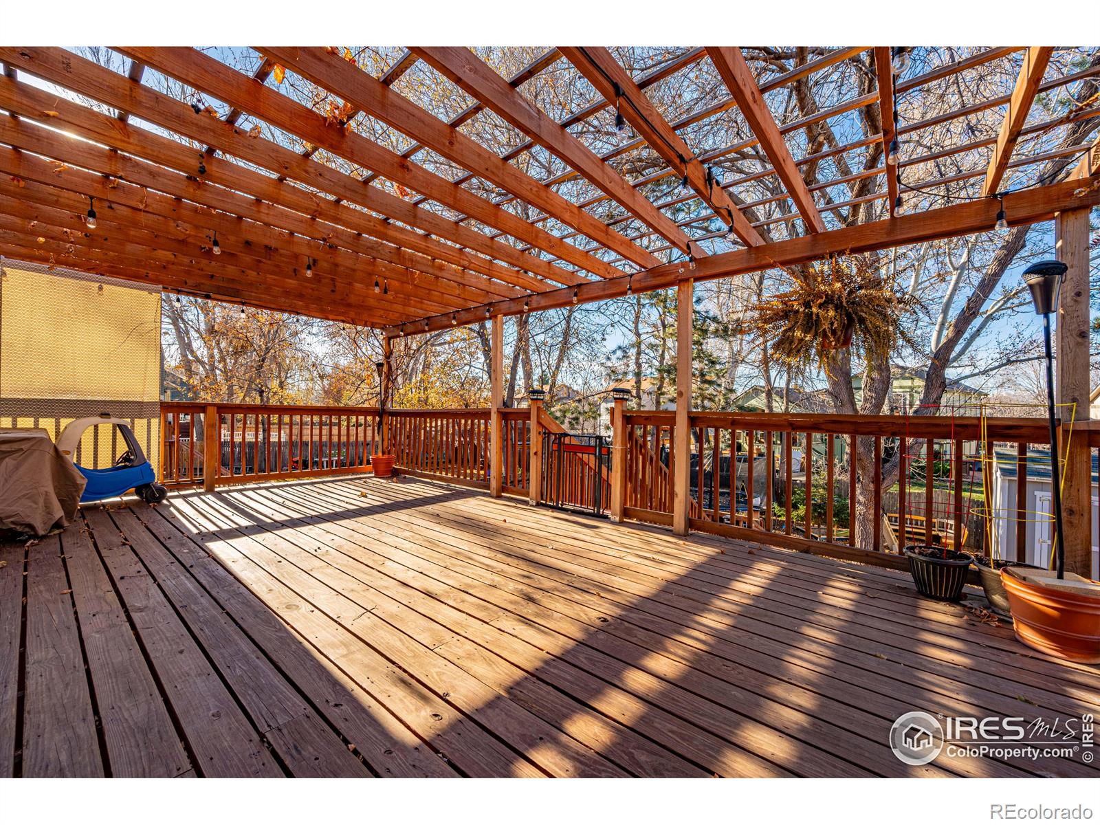 803 Buchanan Lane, Longmont, CO 80504, 3 Bedrooms Bedrooms, ,3 BathroomsBathrooms,Residential,For Sale,Buchanan,RECIR1022984