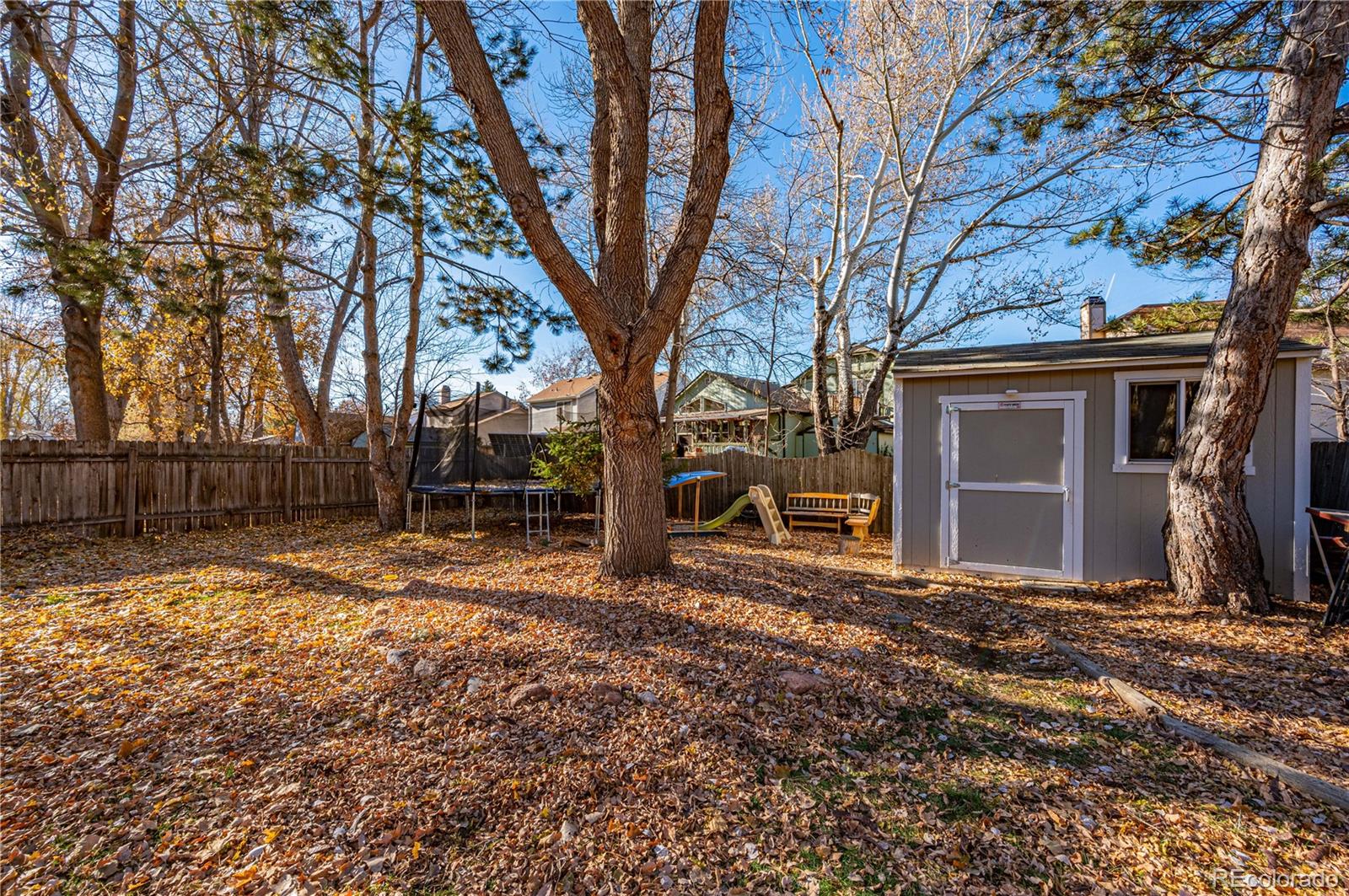 803 Buchanan Lane, Longmont, CO 80504, 3 Bedrooms Bedrooms, ,3 BathroomsBathrooms,Residential,For Sale,Buchanan,REC3884458