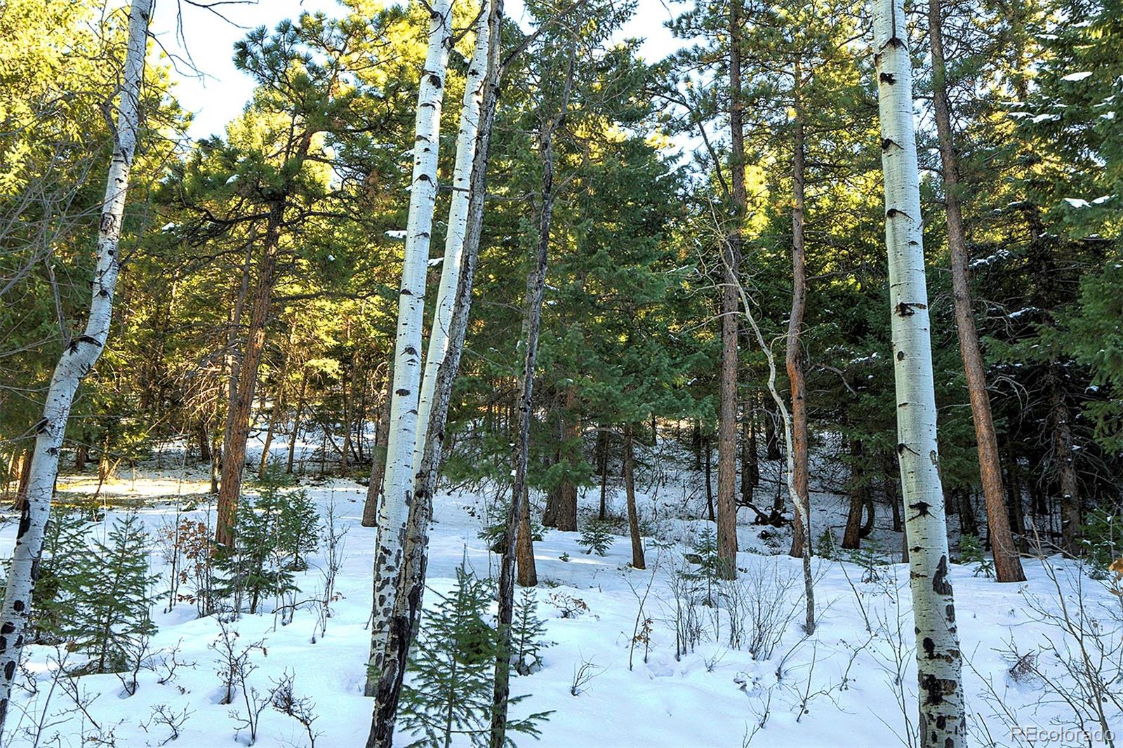 11725 S Maxwell Hill Road, Littleton, CO 80127, ,Land,For Sale,Maxwell Hill,REC4332846