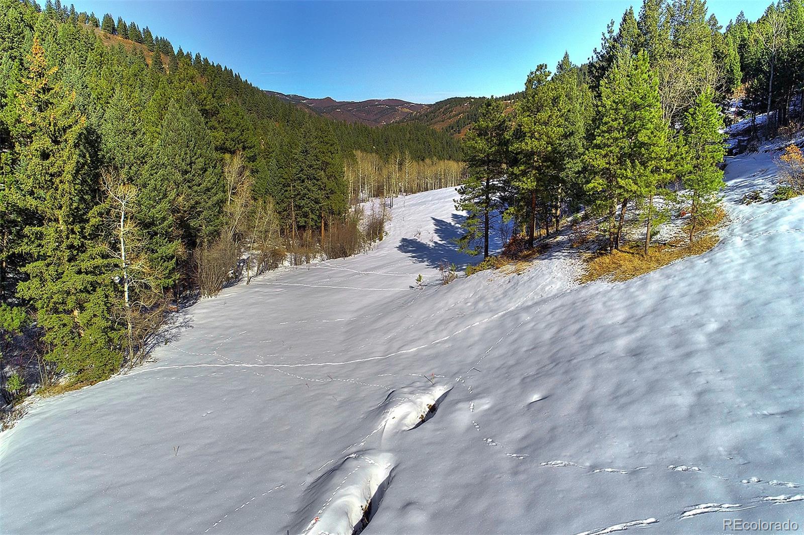 11725 S Maxwell Hill Road, Littleton, CO 80127, ,Land,For Sale,Maxwell Hill,REC4332846