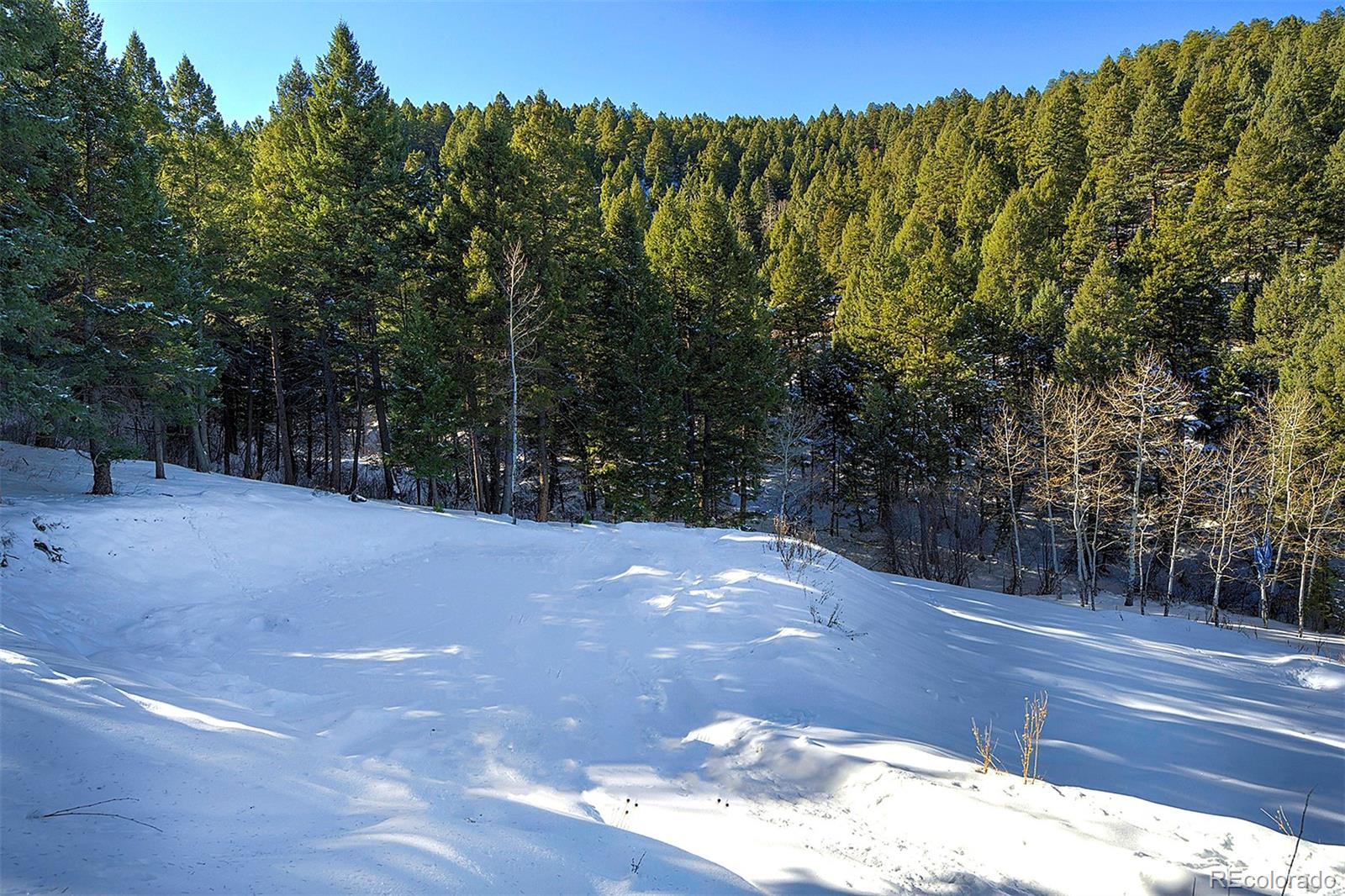 11725 S Maxwell Hill Road, Littleton, CO 80127, ,Land,For Sale,Maxwell Hill,REC4332846