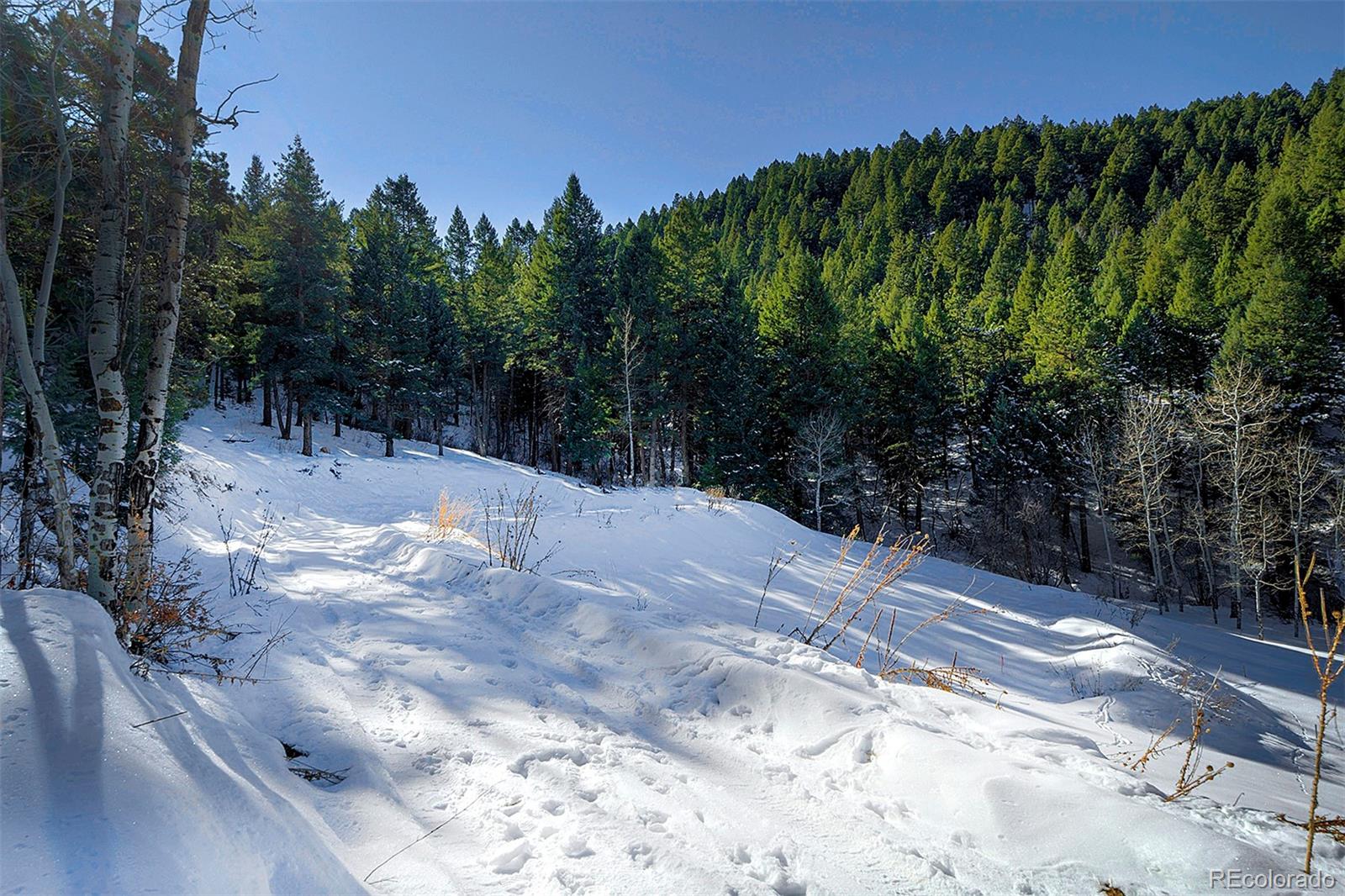 11725 S Maxwell Hill Road, Littleton, CO 80127, ,Land,For Sale,Maxwell Hill,REC4332846