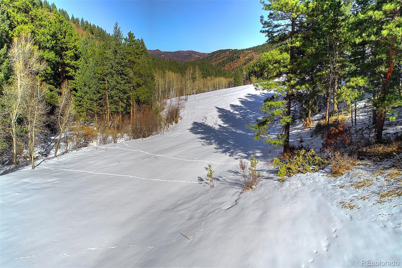 11725 S Maxwell Hill Road, Littleton, CO 80127, ,Land,For Sale,Maxwell Hill,REC4332846