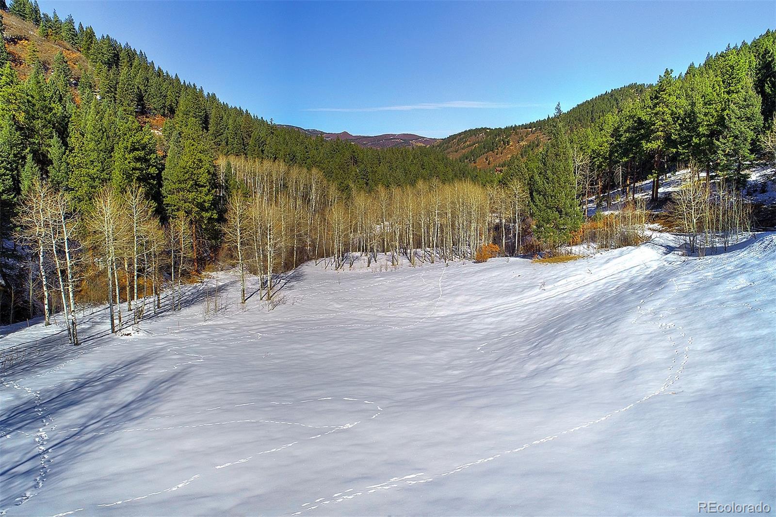 11725 S Maxwell Hill Road, Littleton, CO 80127, ,Land,For Sale,Maxwell Hill,REC4332846