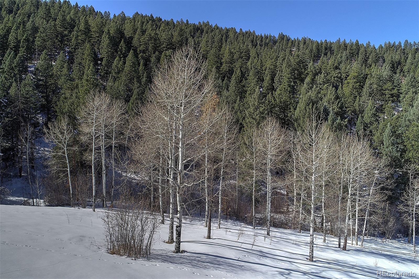 11725 S Maxwell Hill Road, Littleton, CO 80127, ,Land,For Sale,Maxwell Hill,REC4332846