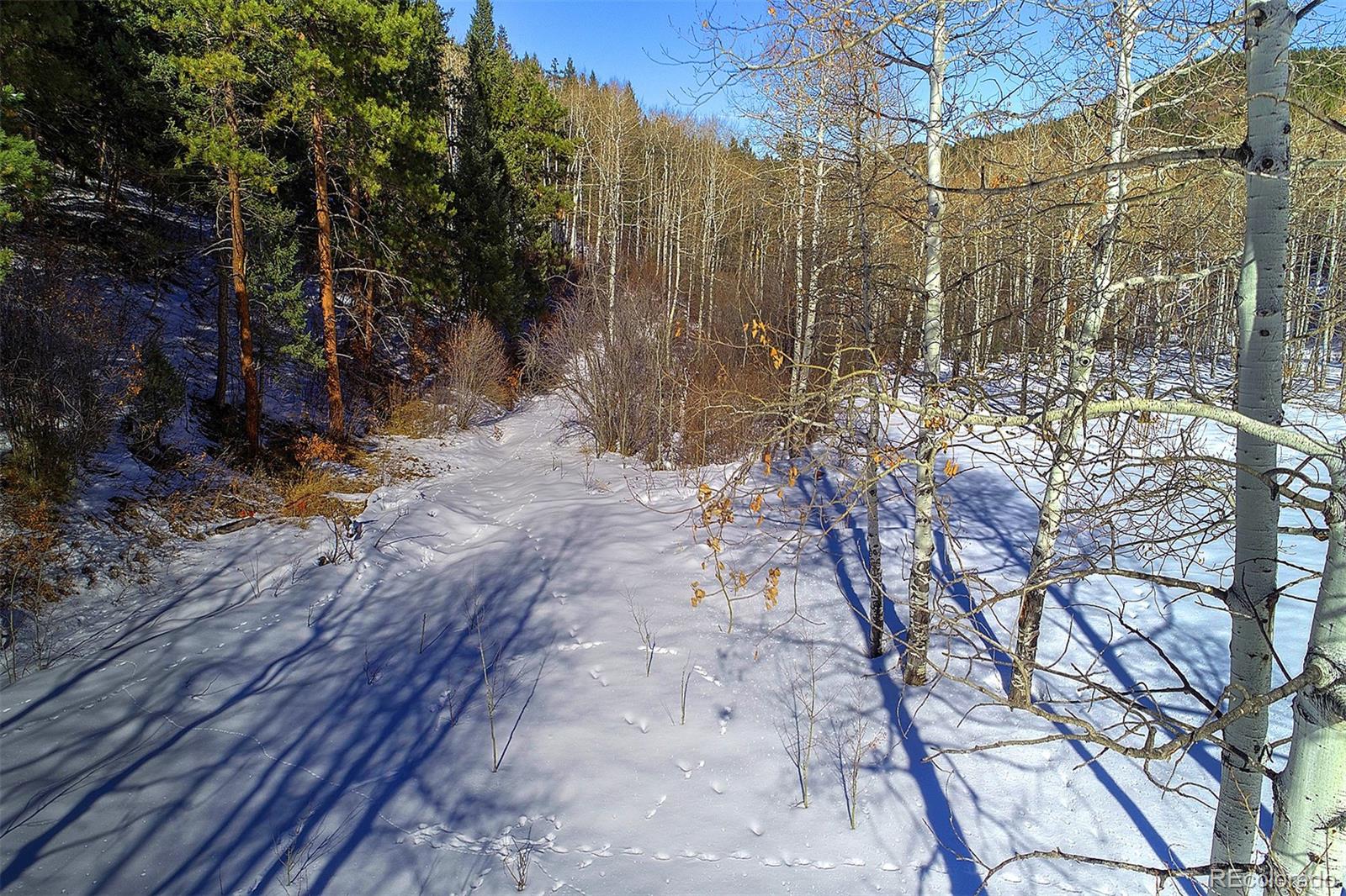 11725 S Maxwell Hill Road, Littleton, CO 80127, ,Land,For Sale,Maxwell Hill,REC4332846