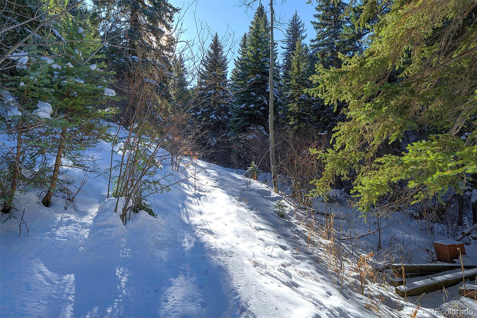 11725 S Maxwell Hill Road, Littleton, CO 80127, ,Land,For Sale,Maxwell Hill,REC4332846