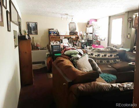 10795 County Road 197 A #105, Nathrop, CO 81236, 1 Bedroom Bedrooms, ,1 BathroomBathrooms,Residential,For Sale,County Road 197 A,REC8307870