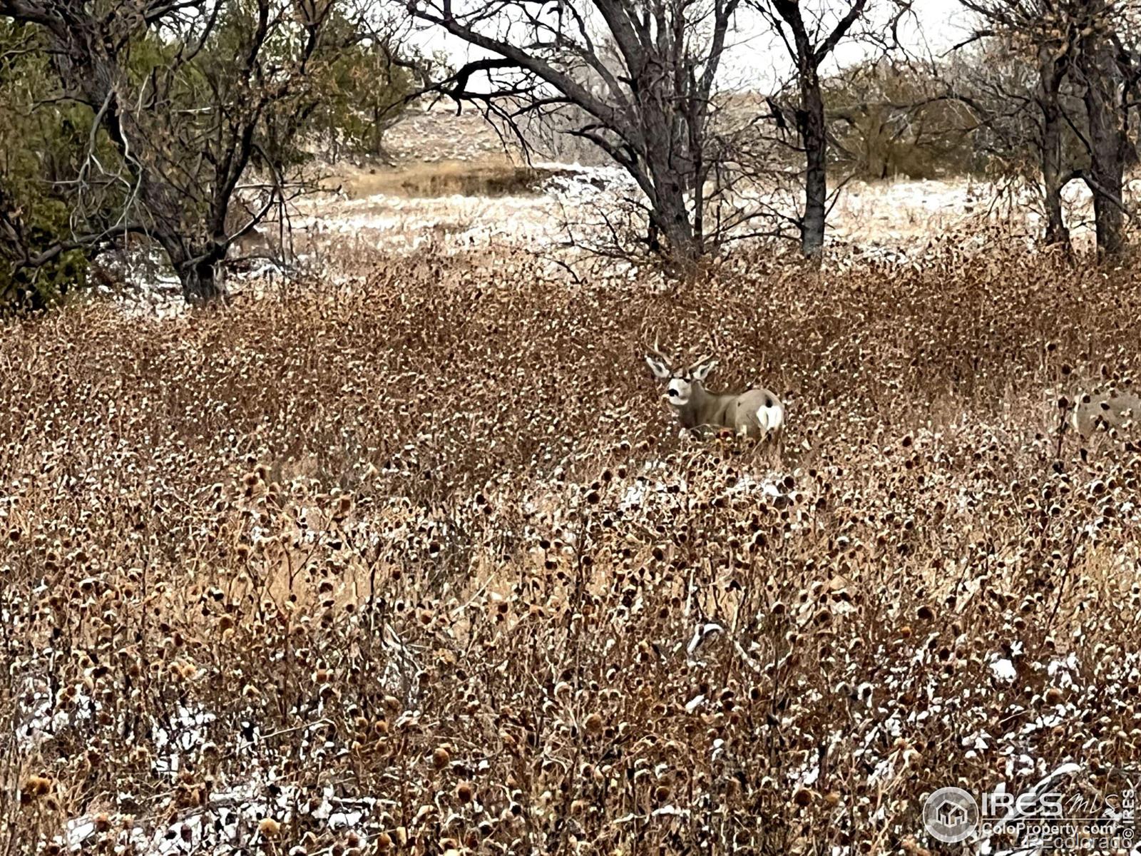 20527 County Road 36, Sterling, CO 80751, 4 Bedrooms Bedrooms, ,4 BathroomsBathrooms,Residential,For Sale,County Road 36,RECIR1023110