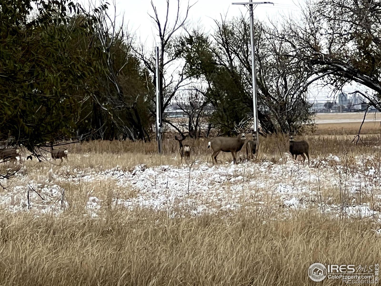 20527 County Road 36, Sterling, CO 80751, 4 Bedrooms Bedrooms, ,4 BathroomsBathrooms,Residential,For Sale,County Road 36,RECIR1023110