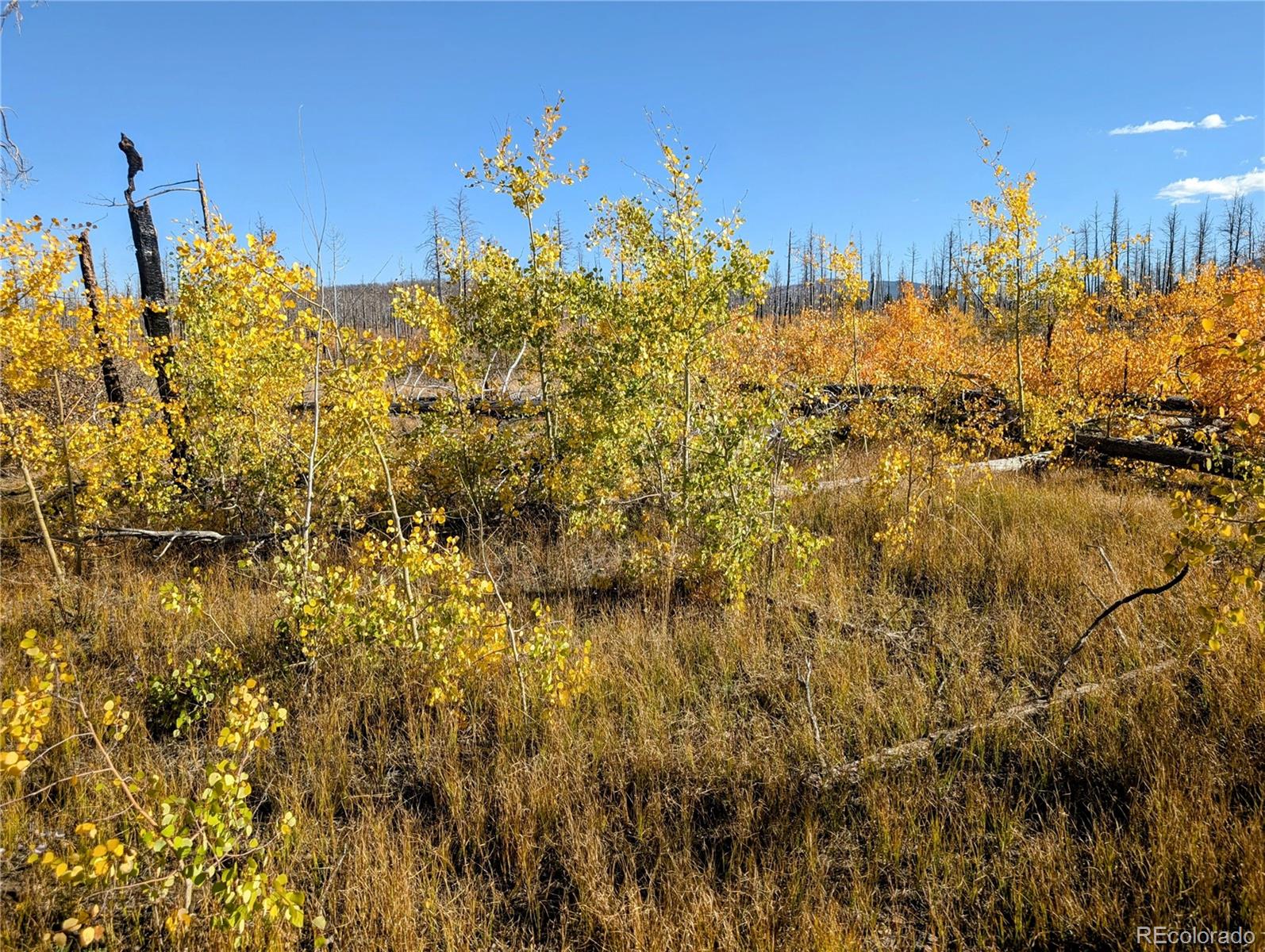 Lot 1368 Kings Lane, Fort Garland, CO 81133, ,Land,For Sale,Kings,REC3900291