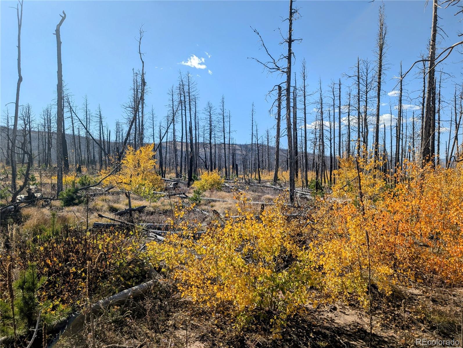 Lot 1368 Kings Lane, Fort Garland, CO 81133, ,Land,For Sale,Kings,REC3900291