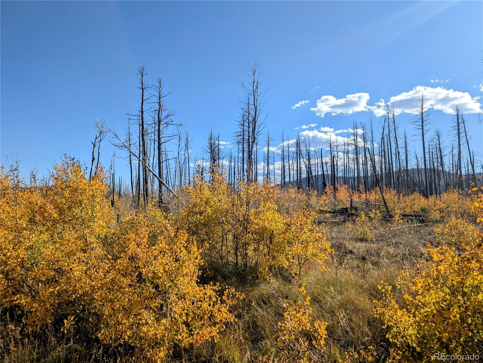 Lot 1368 Kings Lane, Fort Garland, CO 81133, ,Land,For Sale,Kings,REC3900291