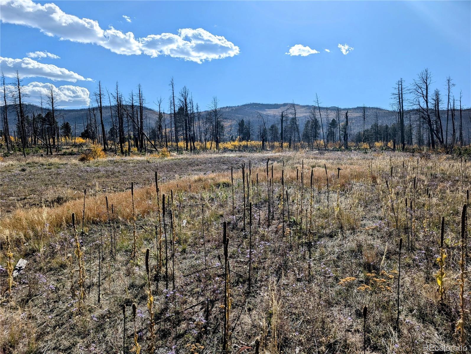 Lot 1368 Kings Lane, Fort Garland, CO 81133, ,Land,For Sale,Kings,REC3900291