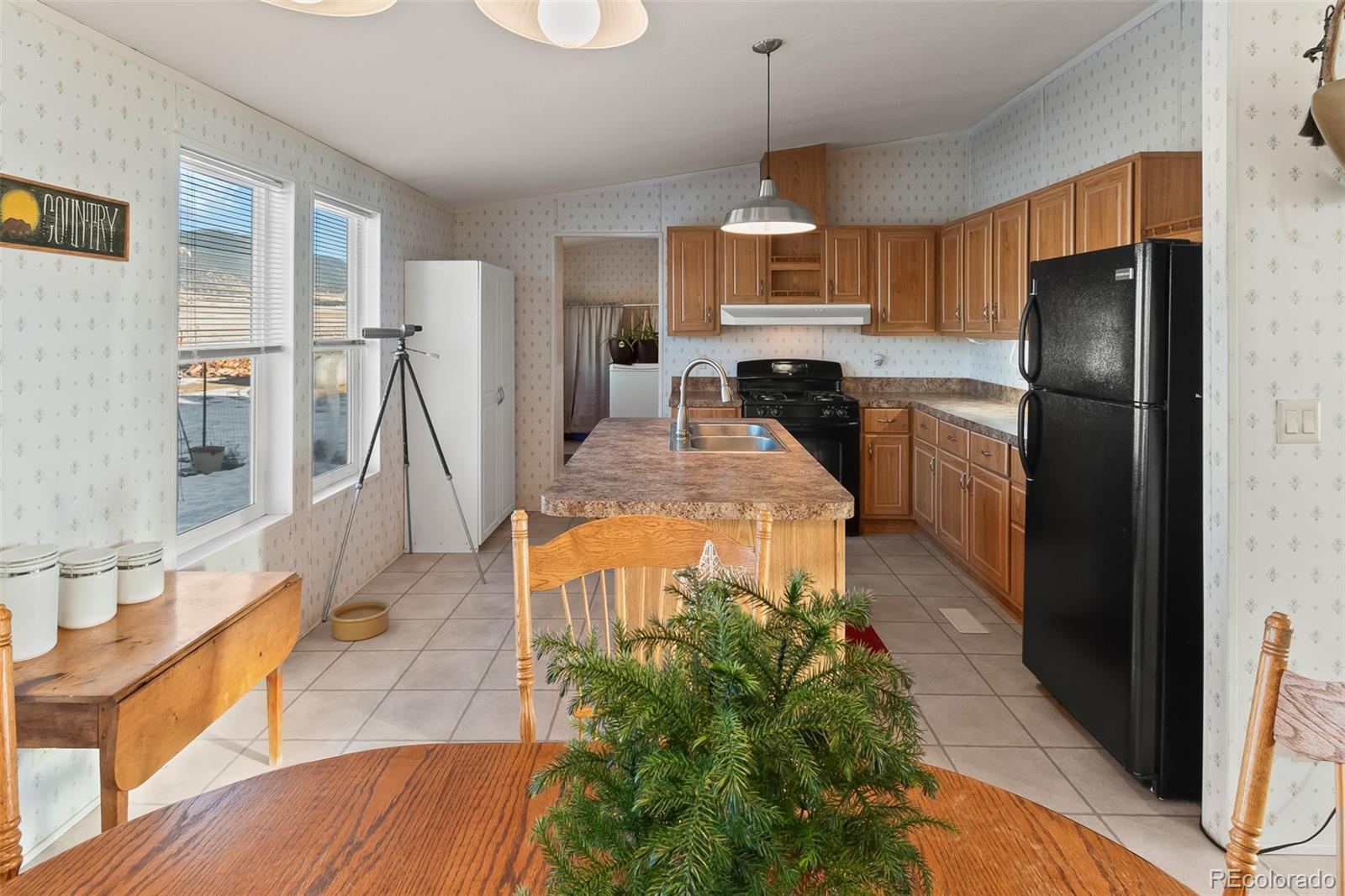 Address not available!, Lake George, CO 80827, 3 Bedrooms Bedrooms, ,2 BathroomsBathrooms,Residential,For Sale,Snowshoe,REC3135659