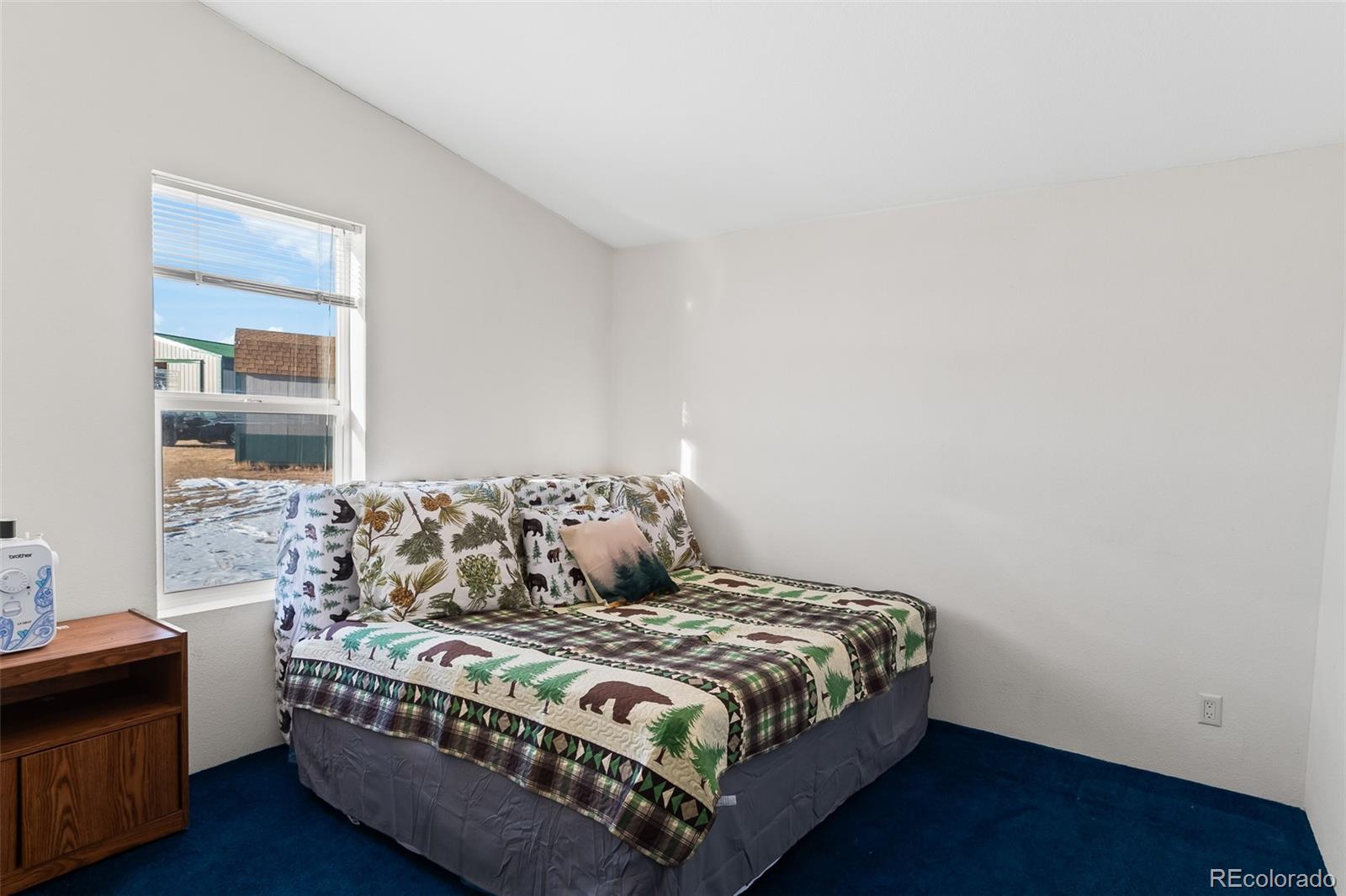 Address not available!, Lake George, CO 80827, 3 Bedrooms Bedrooms, ,2 BathroomsBathrooms,Residential,For Sale,Snowshoe,REC3135659