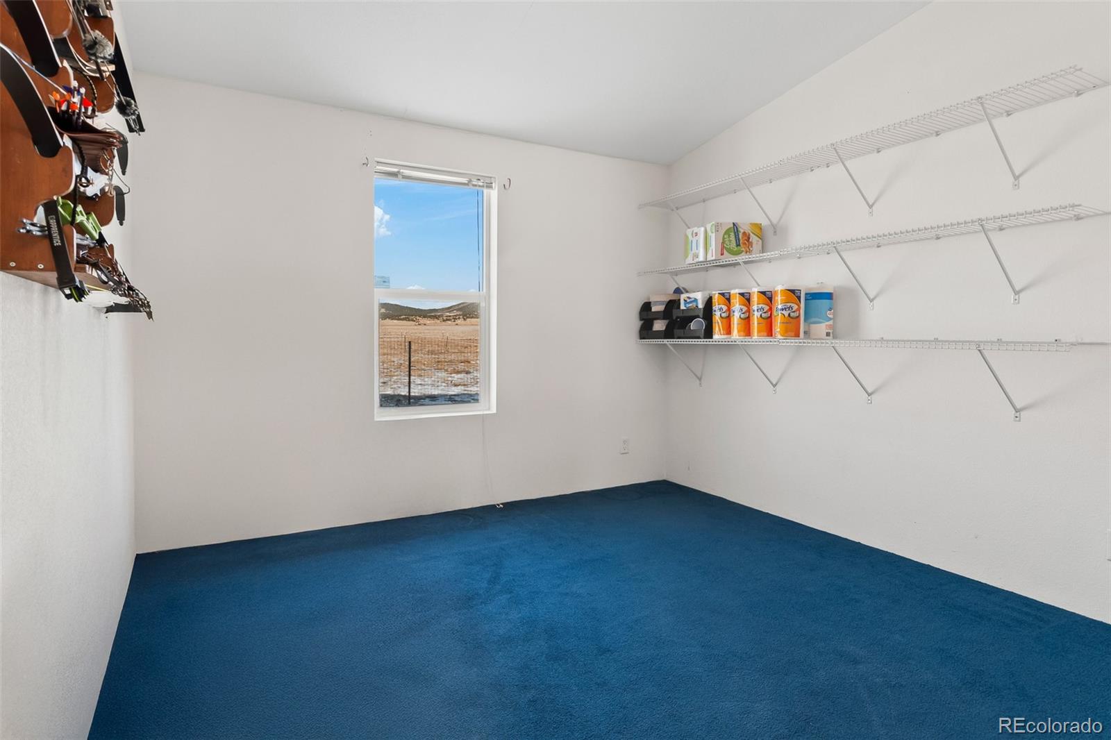 Address not available!, Lake George, CO 80827, 3 Bedrooms Bedrooms, ,2 BathroomsBathrooms,Residential,For Sale,Snowshoe,REC3135659