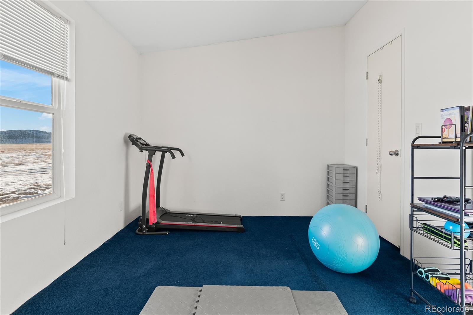 Address not available!, Lake George, CO 80827, 3 Bedrooms Bedrooms, ,2 BathroomsBathrooms,Residential,For Sale,Snowshoe,REC3135659