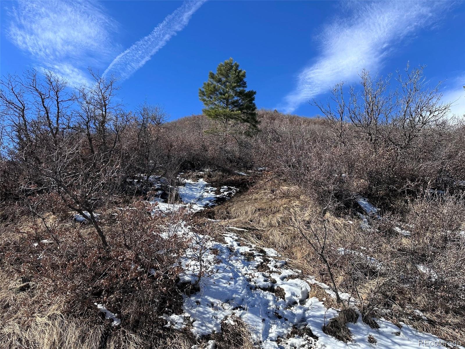 5389 Hawthorne Trail, Littleton, CO 80125, ,Land,For Sale,Hawthorne,REC8346206