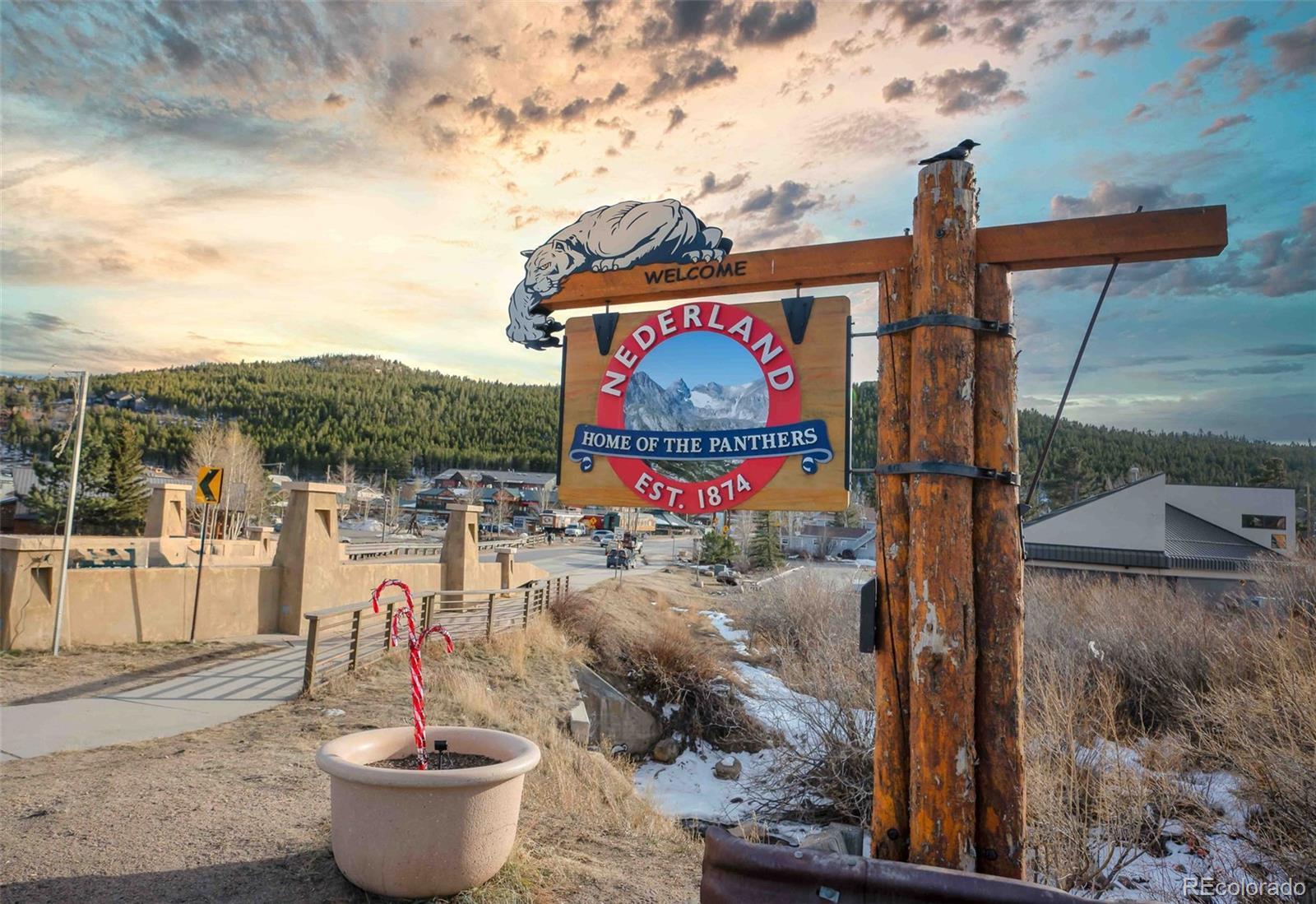 45 Alpine Drive, Nederland, CO 80466, 6 Bedrooms Bedrooms, ,5 BathroomsBathrooms,Residential,For Sale,Alpine,REC5826727