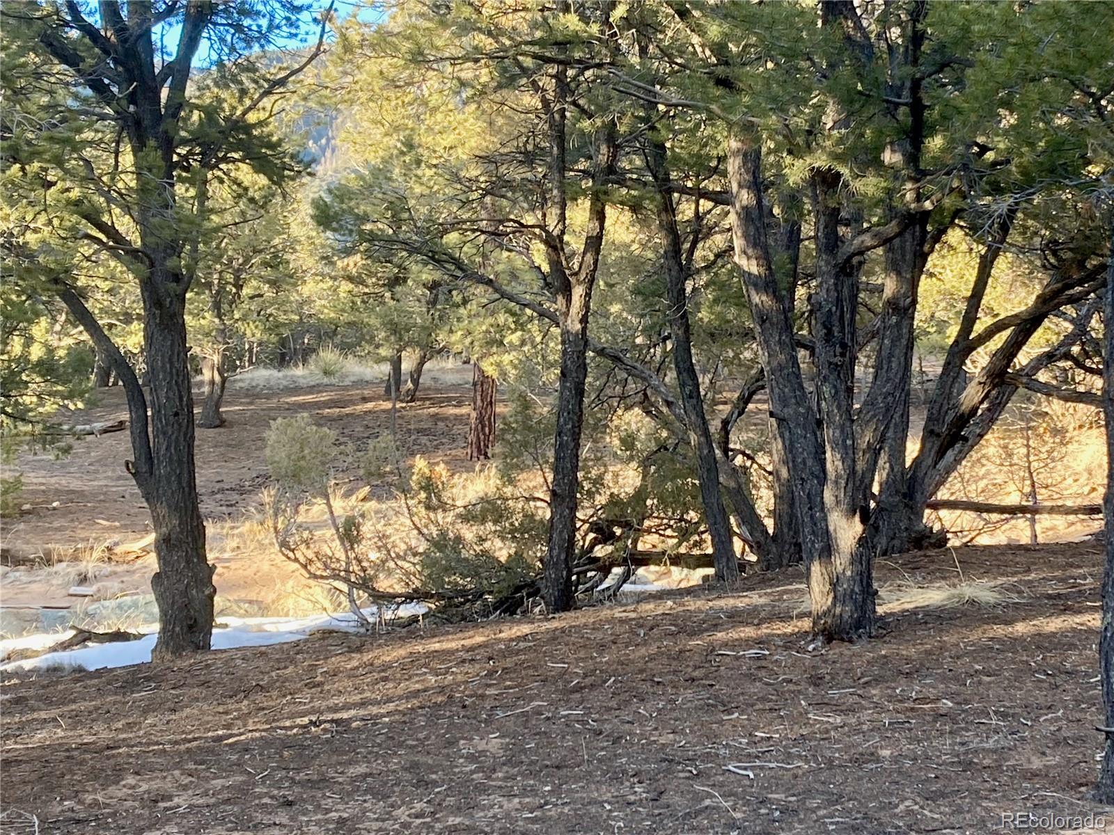 745 Cliffwood, Crestone, CO 81131, ,Land,For Sale,Cliffwood,REC1937421