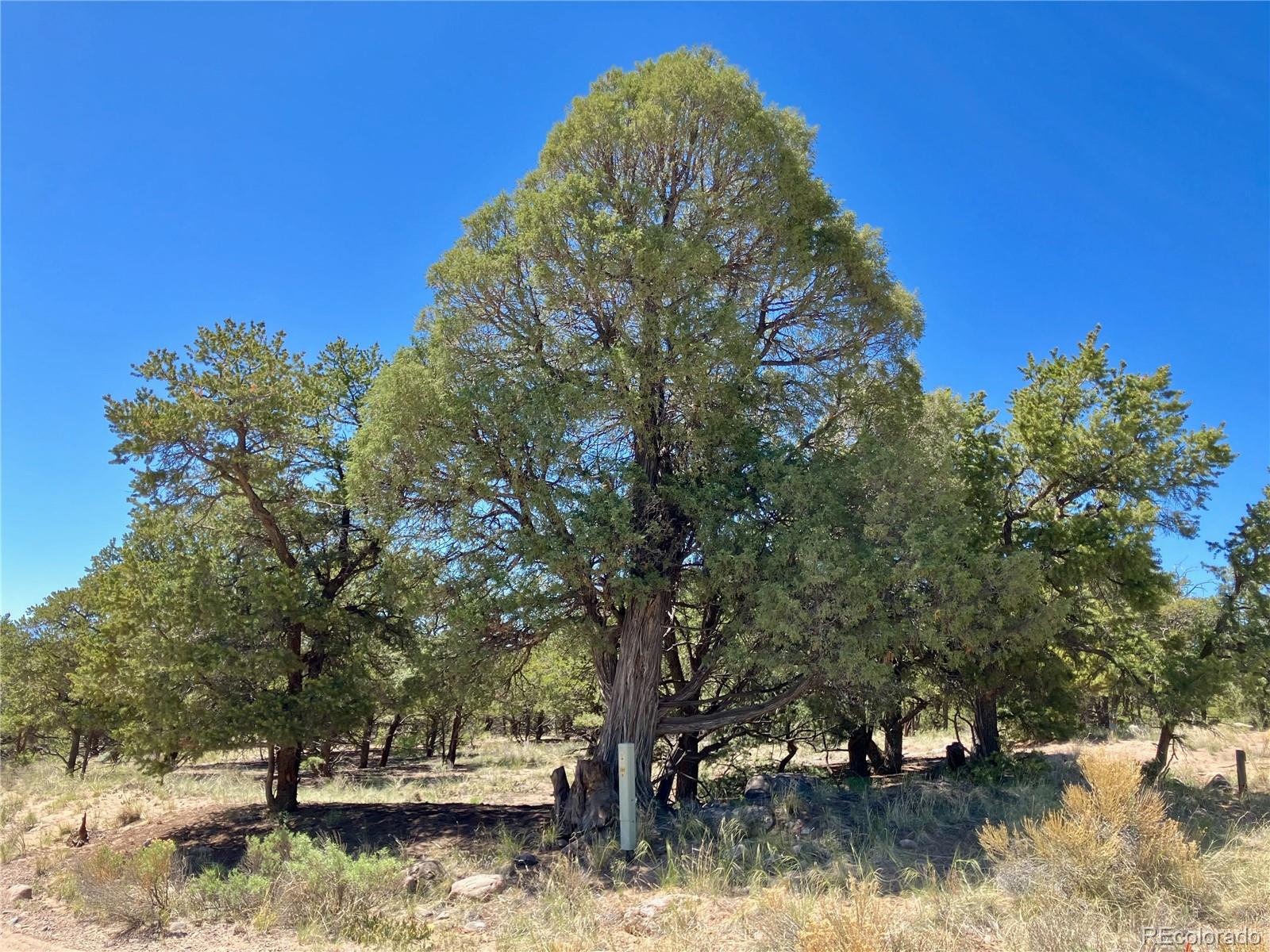 745 Cliffwood, Crestone, CO 81131, ,Land,For Sale,Cliffwood,REC1937421
