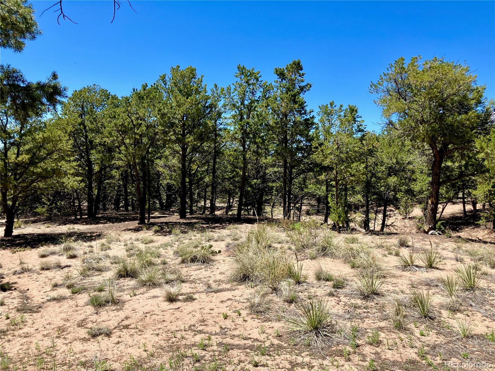 745 Cliffwood, Crestone, CO 81131, ,Land,For Sale,Cliffwood,REC1937421