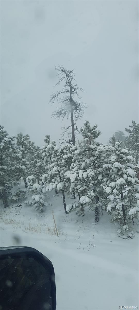 13395 Frank Road, Colorado Springs, CO 80908, ,Land,For Sale,Frank,REC7809487