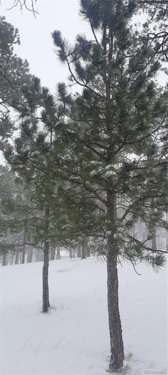 13395 Frank Road, Colorado Springs, CO 80908, ,Land,For Sale,Frank,REC7809487