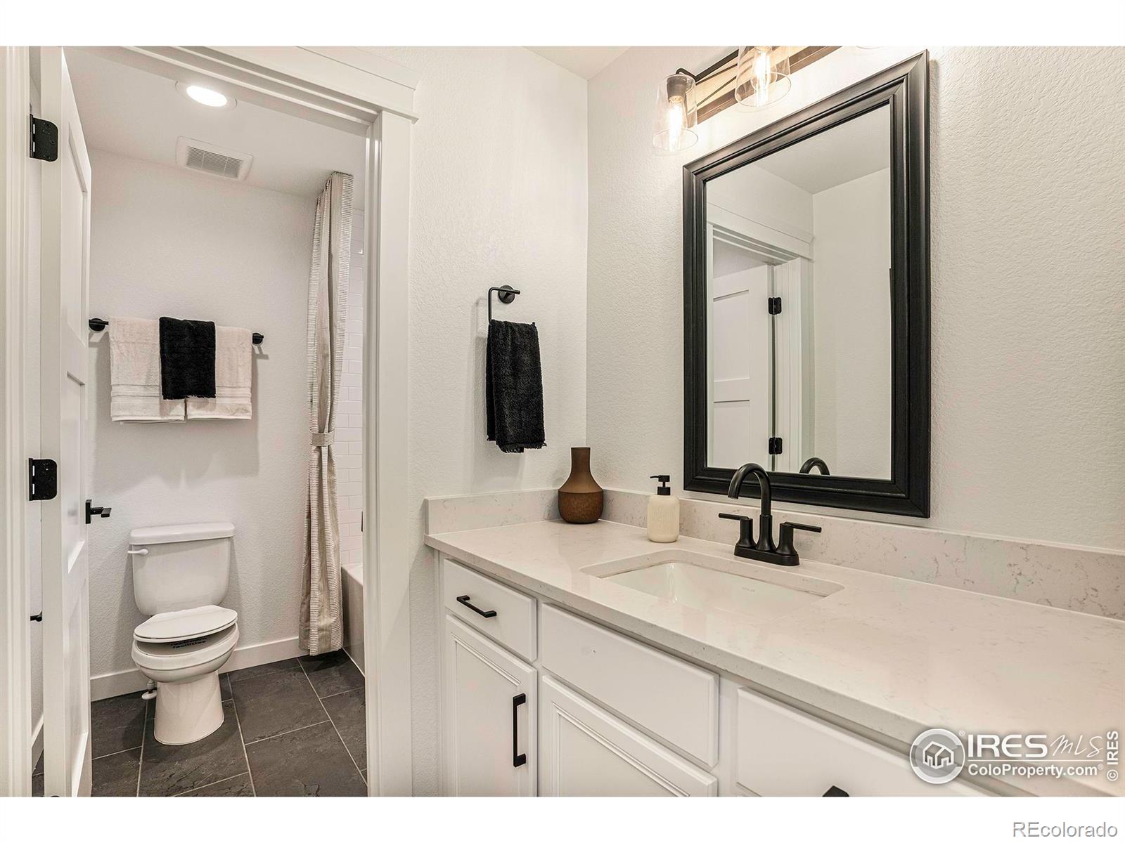 1621 Poplar Drive, Erie, CO 80516, 4 Bedrooms Bedrooms, ,6 BathroomsBathrooms,Residential,For Sale,Poplar,RECIR1023471