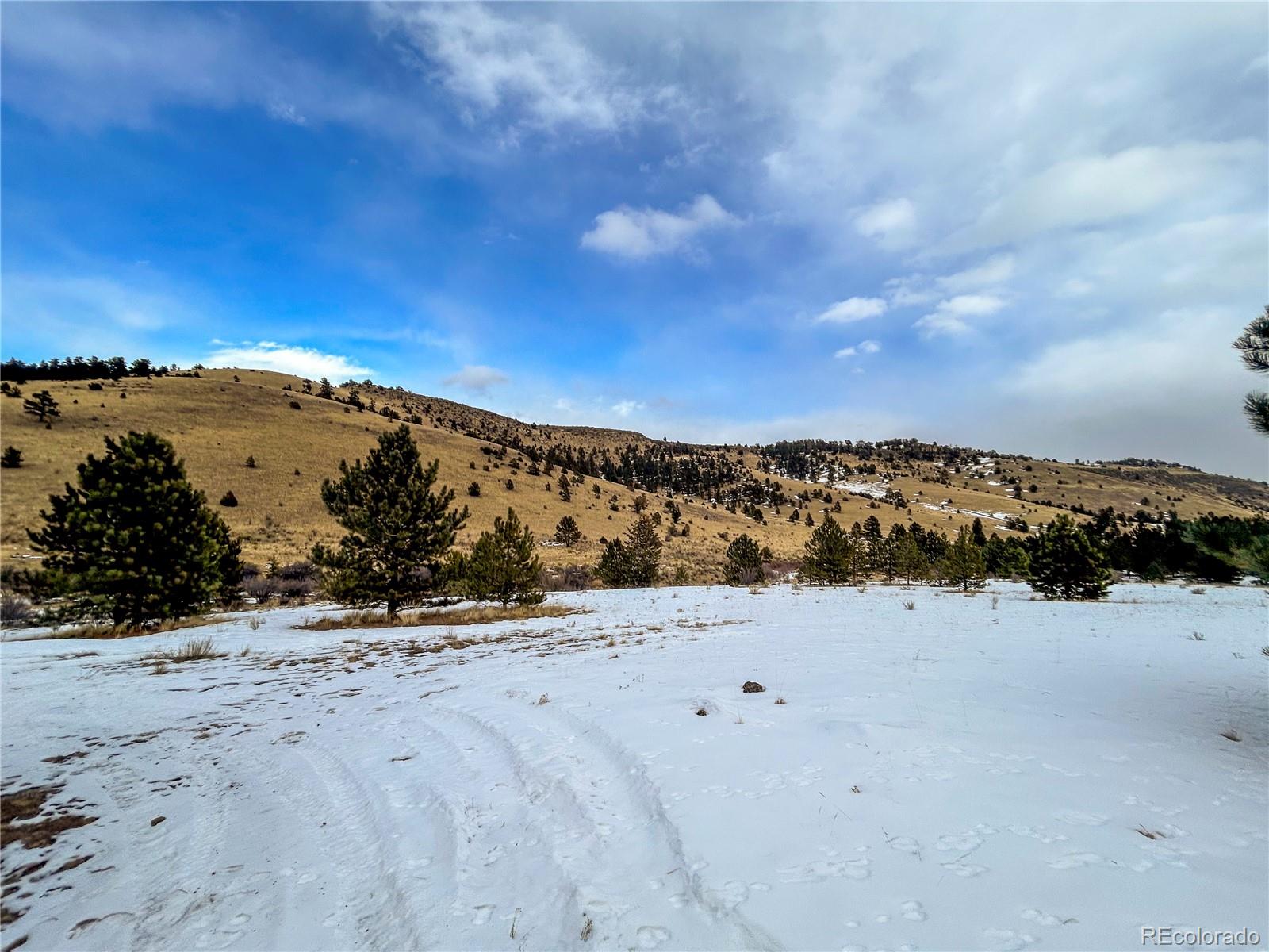 33059 Forest Service Road #672, Del Norte, CO 81132, 1 Bedroom Bedrooms, ,1 BathroomBathrooms,Residential,For Sale,Forest Service,REC2286121