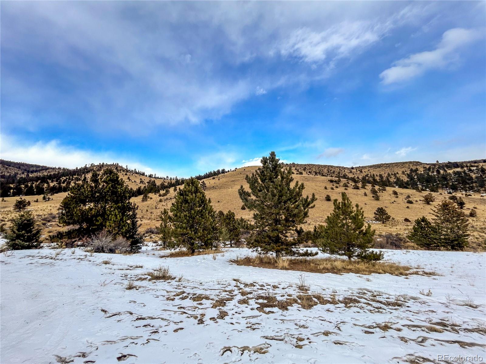 33059 Forest Service Road #672, Del Norte, CO 81132, 1 Bedroom Bedrooms, ,1 BathroomBathrooms,Residential,For Sale,Forest Service,REC2286121