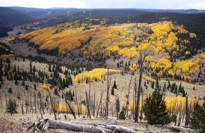 33059 Forest Service Road #672, Del Norte, CO 81132, 1 Bedroom Bedrooms, ,1 BathroomBathrooms,Residential,For Sale,Forest Service,REC2286121