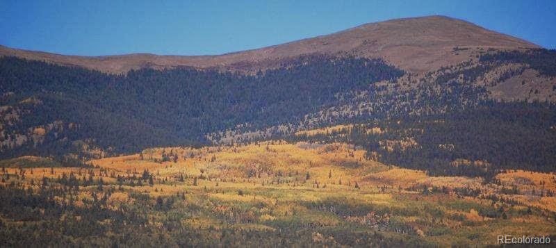 33059 Forest Service Road #672, Del Norte, CO 81132, 1 Bedroom Bedrooms, ,1 BathroomBathrooms,Residential,For Sale,Forest Service,REC2286121