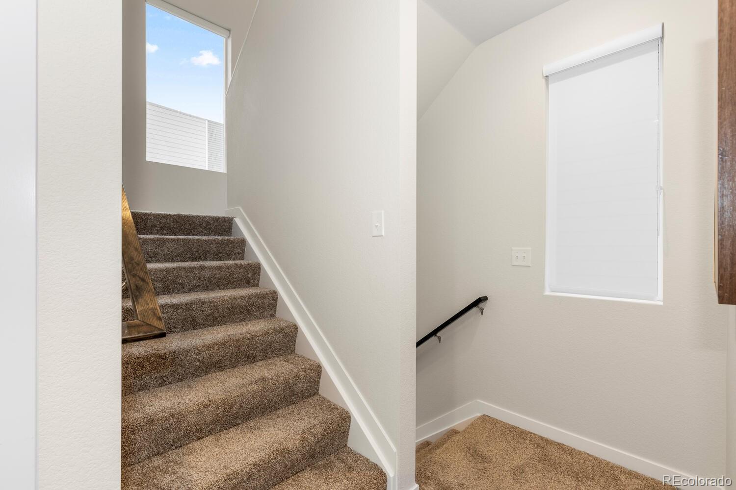 2555 Mayotte Way, Castle Rock, CO 80109, 2 Bedrooms Bedrooms, ,3 BathroomsBathrooms,Residential,For Sale,Mayotte,REC4198255