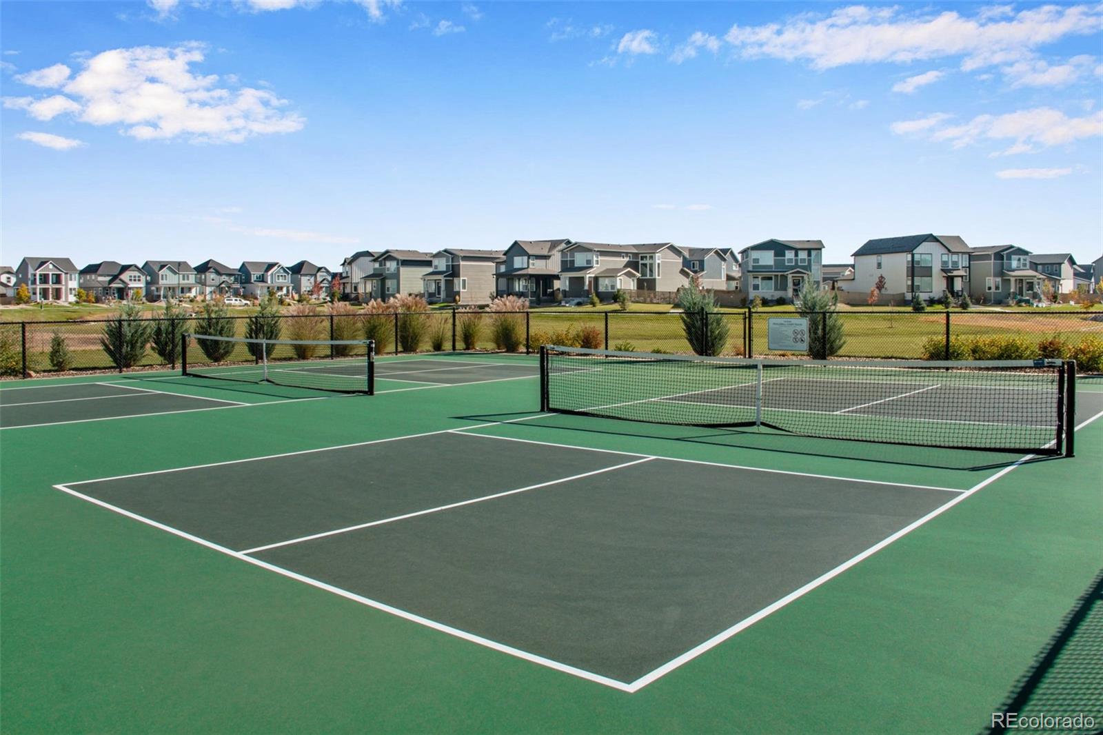 5063 John Muir Drive, Timnath, CO 80547, 3 Bedrooms Bedrooms, ,2 BathroomsBathrooms,Residential,For Sale,John Muir,REC1502487